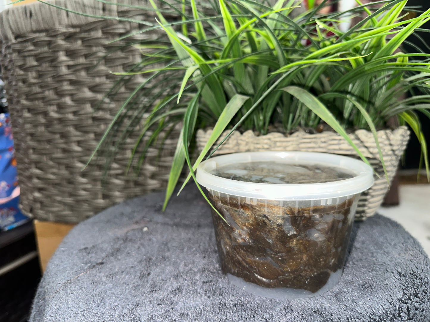 Skin nourishing Black Soap