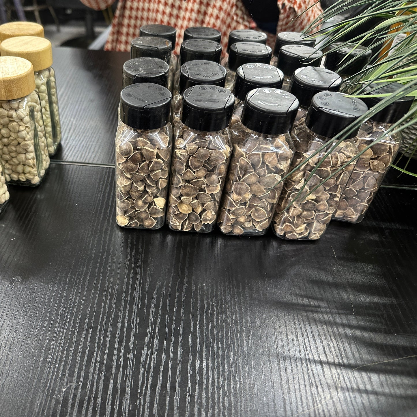 Green Essence Moringa Seeds