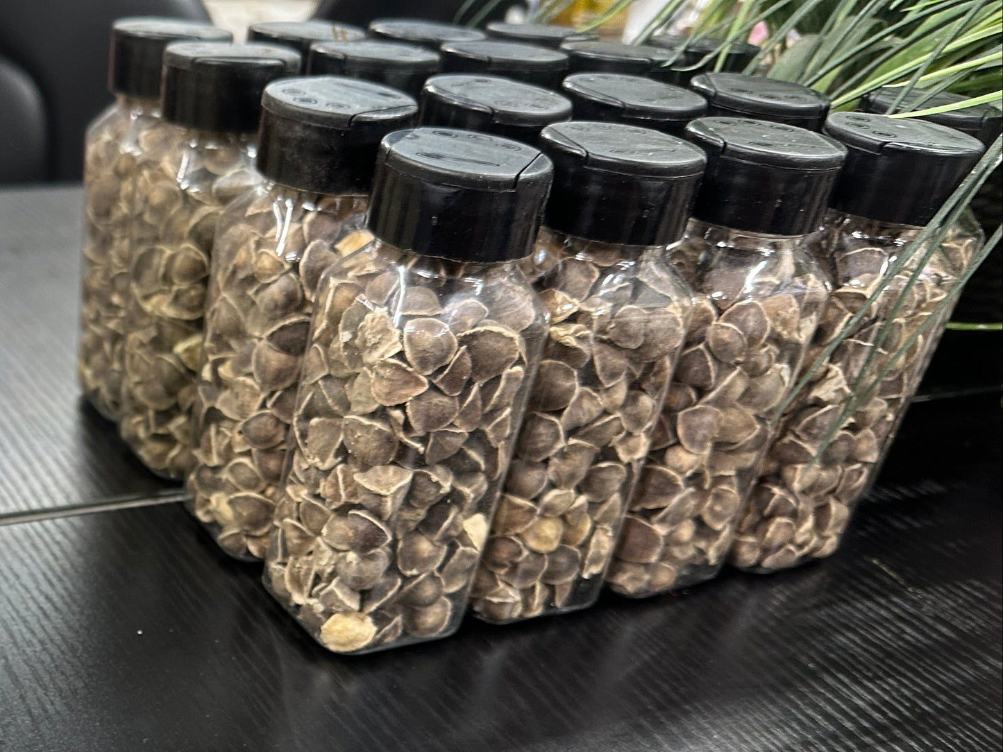 Green Essence Moringa Seeds